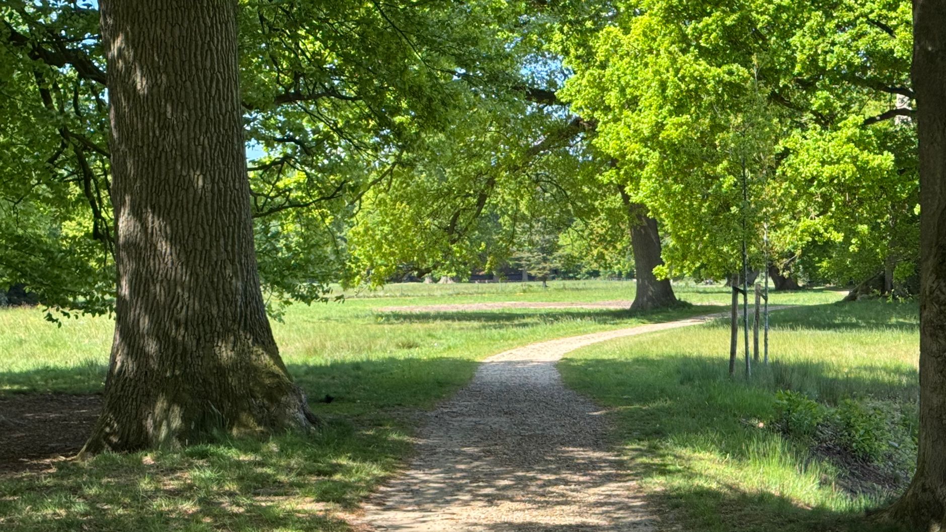Lutte contre les nuisibles à Montauban
